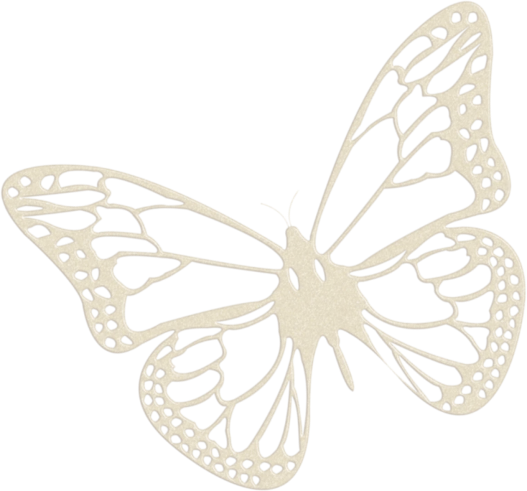 Mariposa Renacer